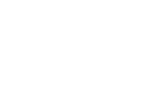 Логотип клиента RIGIDA
