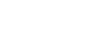 Логотип клиента RIGIDA