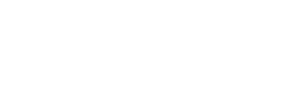 Логотип клиента RIGIDA